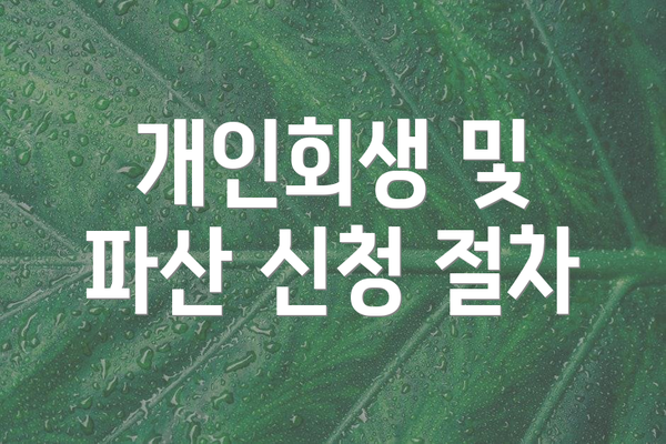 개인회생 및 파산 신청 절차