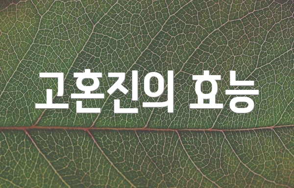 고혼진의 효능