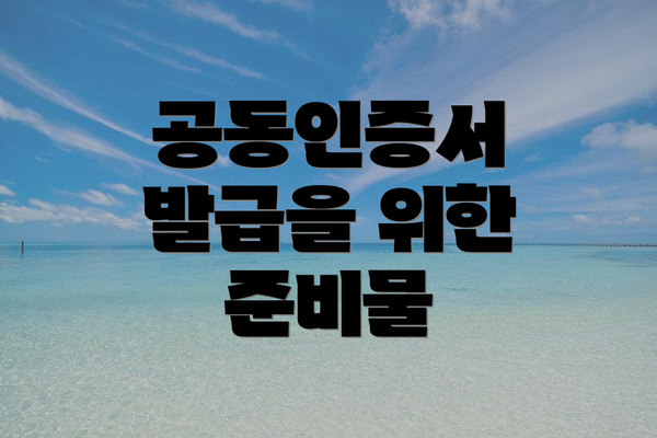 공동인증서 발급을 위한 준비물