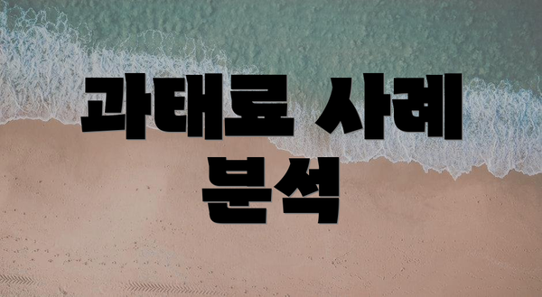 과태료 사례 분석
