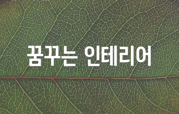 꿈꾸는 인테리어