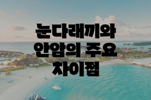 눈다래끼와 안암의 주요 차이점