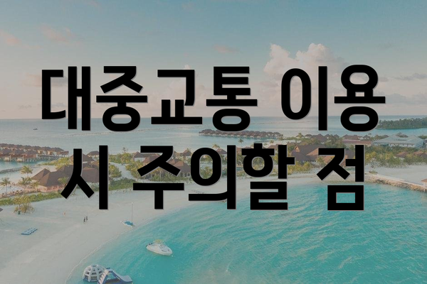 대중교통 이용 시 주의할 점