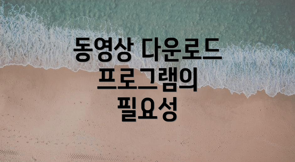 동영상 다운로드 프로그램의 필요성