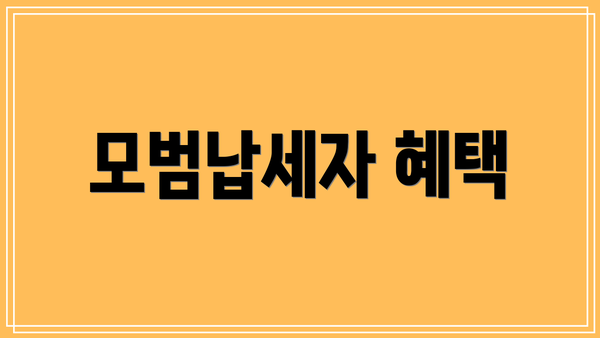 모범납세자 혜택