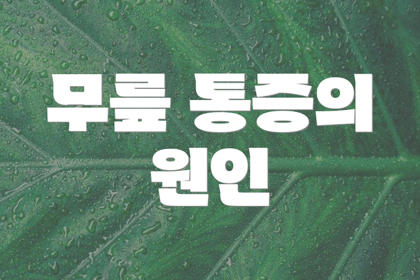 무릎 통증의 원인