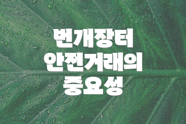 번개장터 안전거래의 중요성