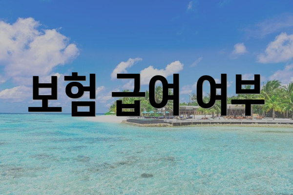 보험 급여 여부