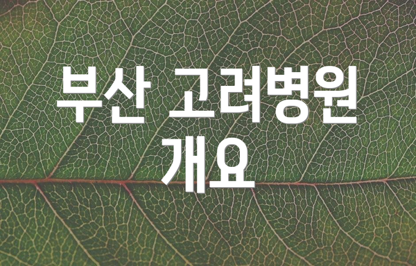 부산 고려병원 개요