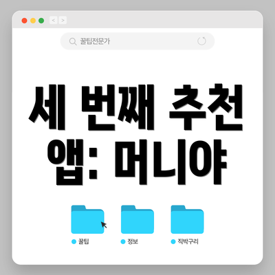세 번째 추천 앱: 머니야