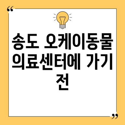 송도 오케이동물의료센터에 가기 전