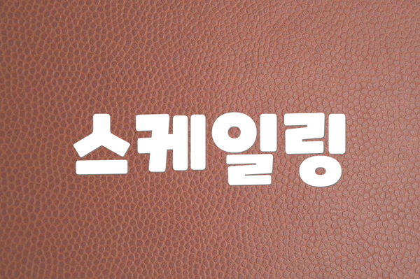 스케일링