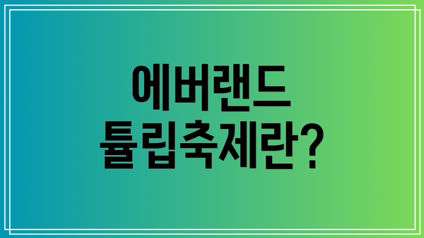 에버랜드 튤립축제란?