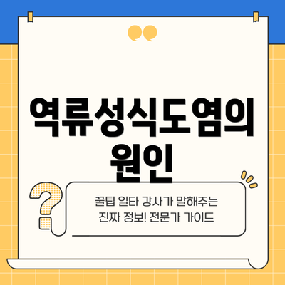 역류성식도염의 원인