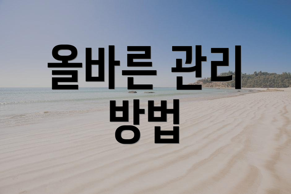 올바른 관리 방법