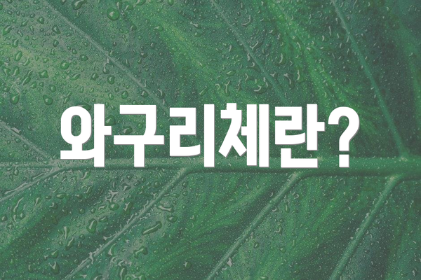 와구리체란?