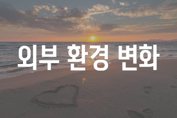 외부 환경 변화
