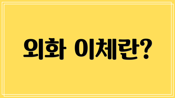 외화 이체란?