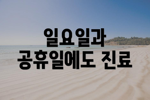 일요일과 공휴일에도 진료