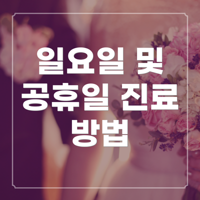 일요일 및 공휴일 진료 방법