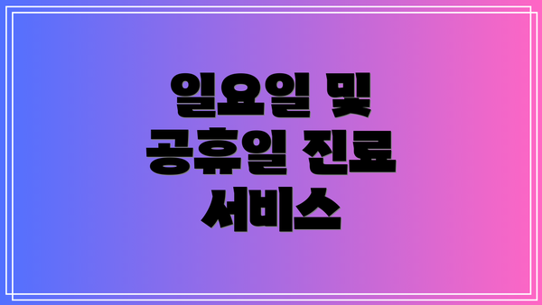일요일 및 공휴일 진료 서비스