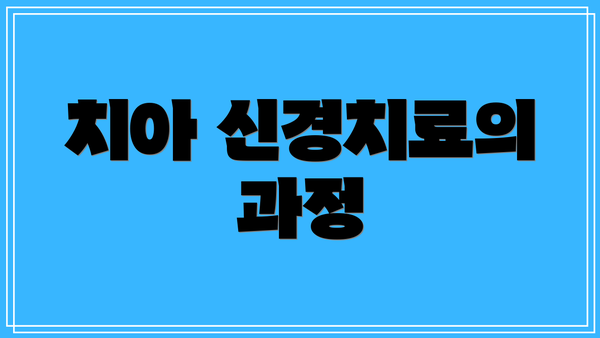 치아 신경치료의 과정