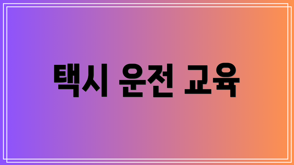 택시 운전 교육