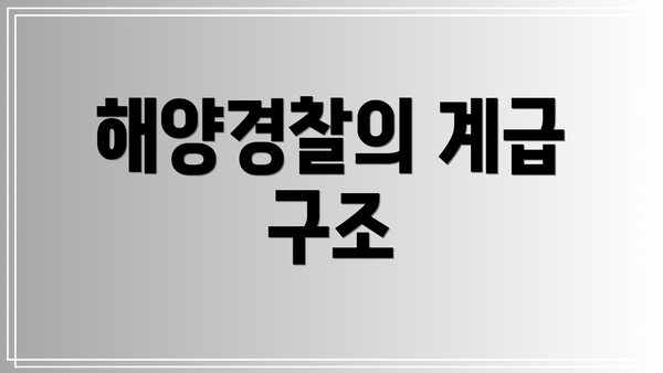 해양경찰의 계급 구조
