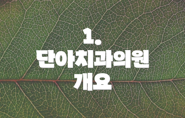 1. 단아치과의원 개요