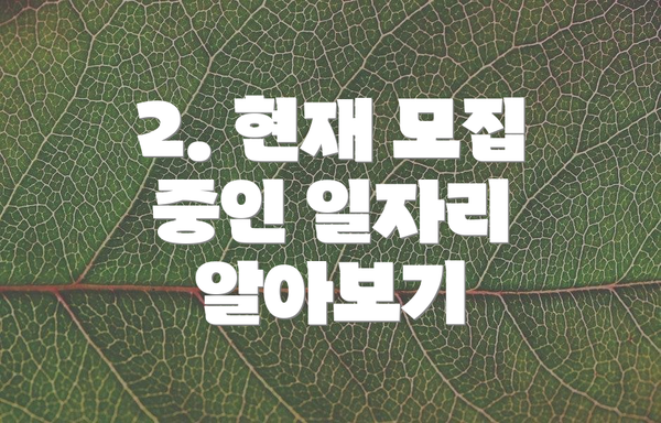 2. 현재 모집 중인 일자리 알아보기