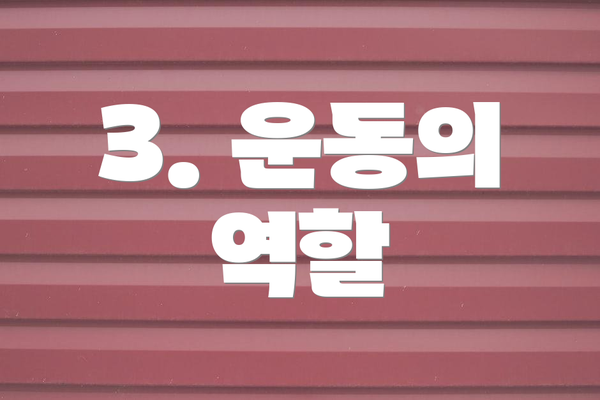 3. 운동의 역할
