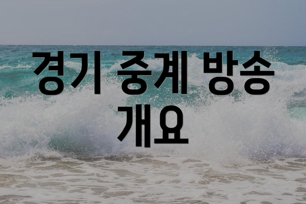 경기 중계 방송 개요
