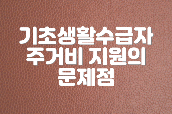기초생활수급자 주거비 지원의 문제점
