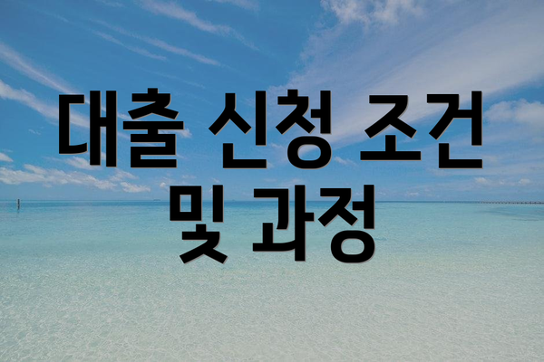 대출 신청 조건 및 과정