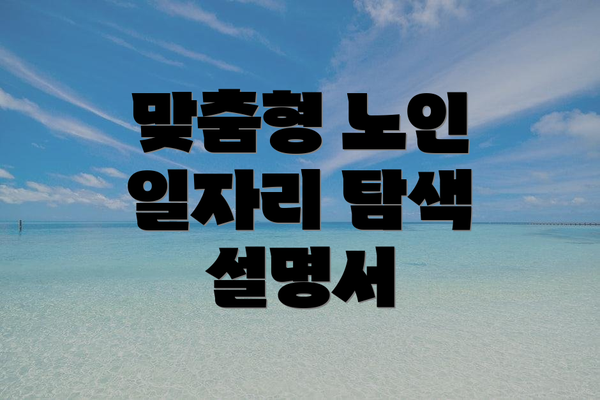맞춤형 노인 일자리 탐색 설명서