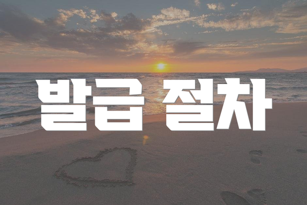 발급 절차