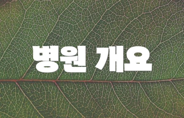 병원 개요