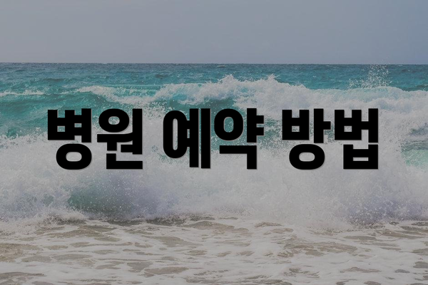 병원 예약 방법