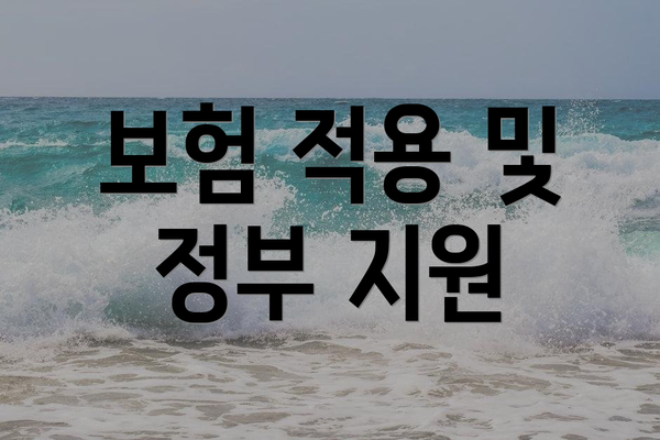보험 적용 및 정부 지원