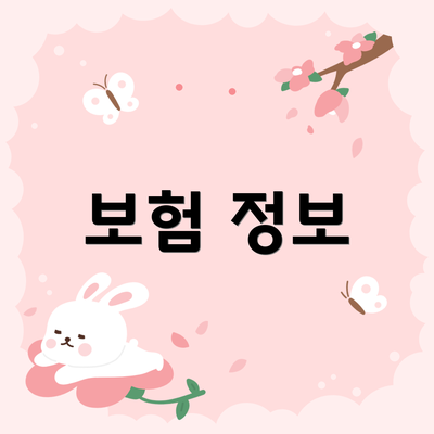 보험 정보
