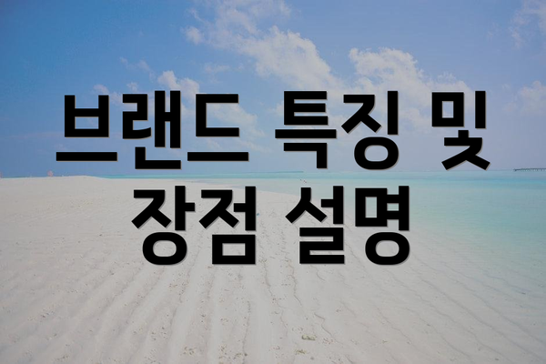 브랜드 특징 및 장점 설명