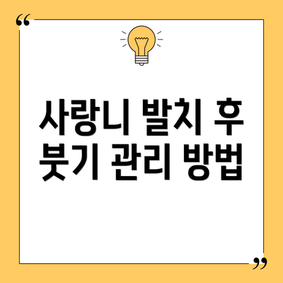 사랑니 발치 후 붓기 관리 방법
