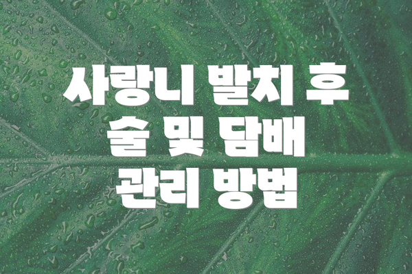 사랑니 발치 후 술 및 담배 관리 방법