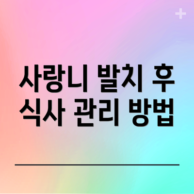 사랑니 발치 후 식사 관리 방법