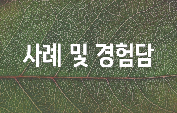 사례 및 경험담