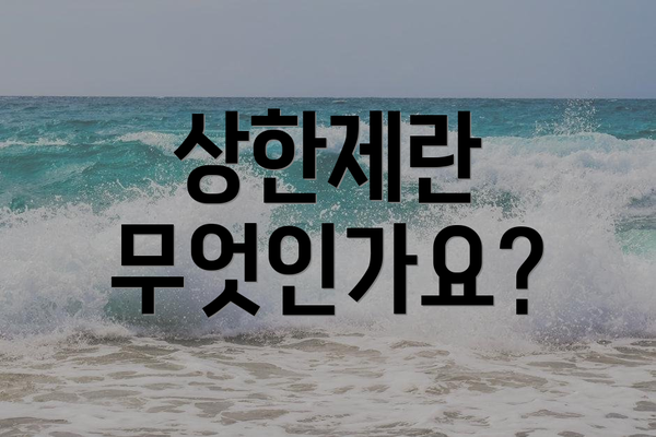 상한제란 무엇인가요?