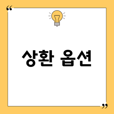 상환 옵션