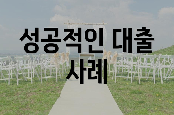 성공적인 대출 사례
