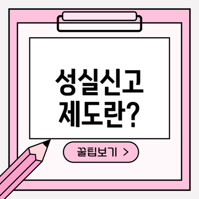성실신고 제도란?