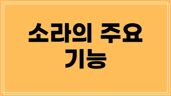 소라의 주요 기능